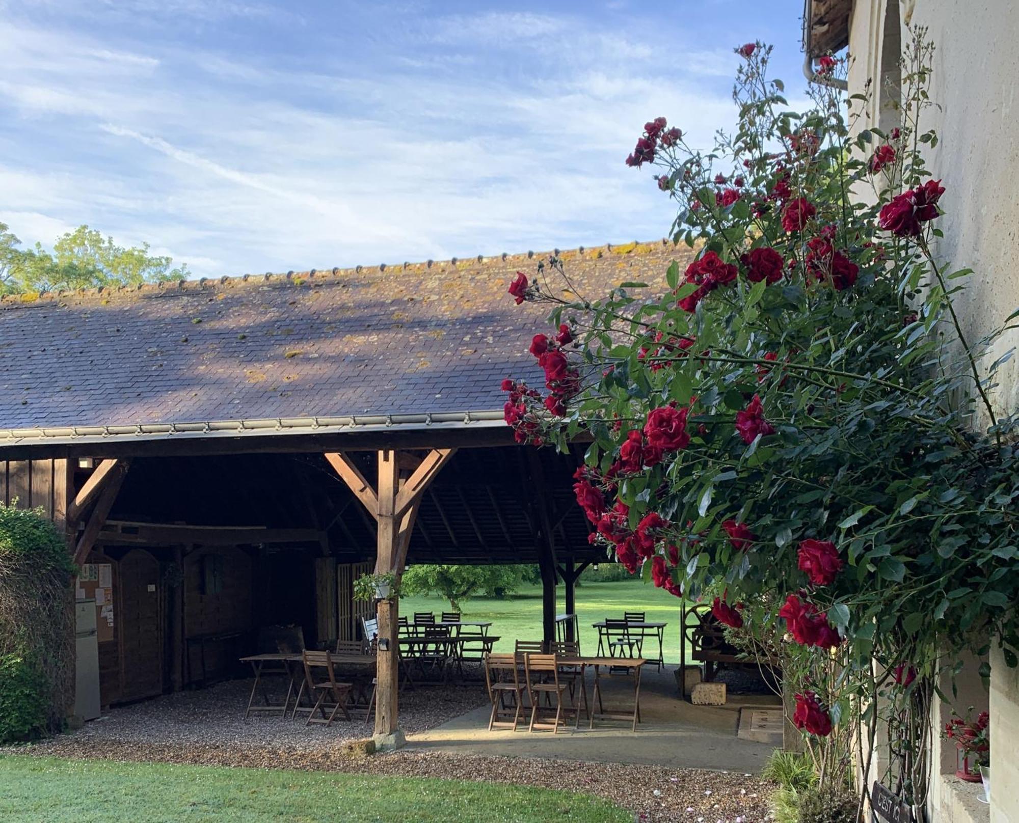 Chambre D'Hotes Le Moulin Des Landes Vernou-sur-Brenne Buitenkant foto